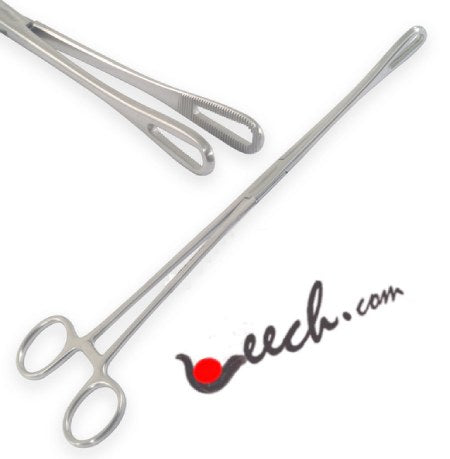 Leech Forceps for Handling