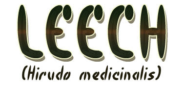 Medical magazine article on Leeches!