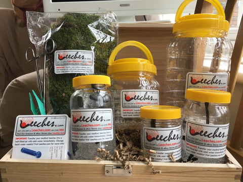 Leeches Sale