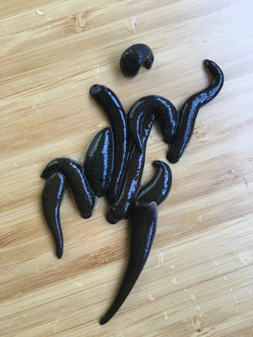 All Leech Products & Supplies