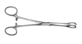 Leech Forceps for Handling