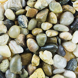 Leech Lake Natural Rock Pebbles